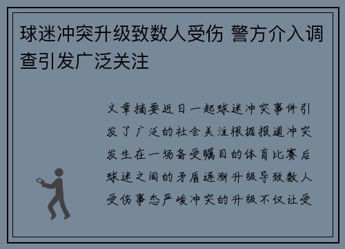 球迷冲突升级致数人受伤 警方介入调查引发广泛关注